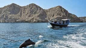 Snorkeling in Musandam